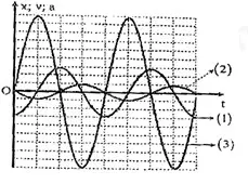 Câu 1: Một học sinh khảo sát dao động điều hòa của một chất điểm dọc theo trục Ox (gốc tọa độ O tại vị trí cân bằng), kết quả thu được đường biểu diễn sự phụ thuộc li độ, vận tốc, gia tốc theo thời gian t như hình vẽ. Đồ thị $x\left( t \right),v\left( t \right)$ và $a\left( t \right)$ theo thứ tự đó là các đường: