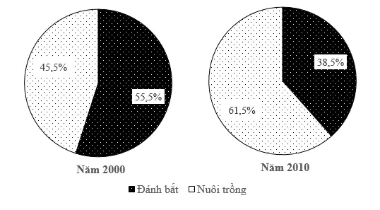 Câu 11: Cho biểu đồ: CƠ CẤU GIÁ TRỊ SẢN XUẤT GDP THEO GIÁ THỰC TẾ PHÂN THEO HOẠT ĐỘNG CỦA NƯỚC TA NĂM 2000 VÀ 2010 (%) Nhận xét nào sau đây đúng với cơ cấu giá trị sản xuất thuỷ sản phân theo hoạt động của nước ta năm 2000 và năm 2010?