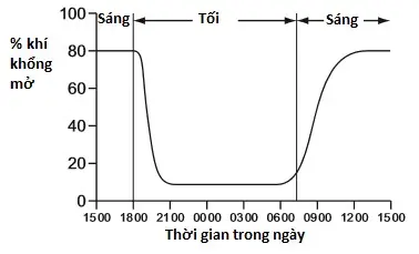 Câu 13: Biểu đồ bên thể hiện lượng khí khổng đóng và mở của 1 loài thực vật trong 24 giờ. Có thể kết luận gì qua biểu đồ này ?