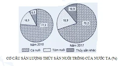 Câu 15: Cho biểu đồ: Theo biểu đồ, nhận xét nào sau đây đúng về sự thay đổi tỉ trọng trong cơ cấu sản lượng thủy sản nuôi trồng của nước ta năm 2017 so với năm 2010?