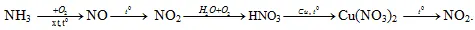 Câu 19: Cho sơ đồ phản ứng sau: Mỗi mũi tên là một phản ứng hóa học. Số phản ứng mà nitơ đóng vai trò chất khử là