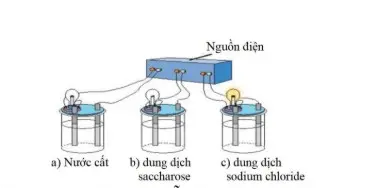 Câu 19: Tiến hành thí nghiệm như hình vẽ, chỉ thấy bóng đèn ở cốc (c) sáng: