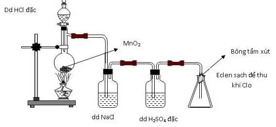 Câu 2: Thực hiện thí nghiệm điều chế clo theo sơ đồ sau: Cho các nhận định sau: (a) Bình chứa dung dịch NaCl dùng để giữ khí HCl. (b) Bình chứa dung dịch H2SO4 đặc để giữ hơi nước. (c) Bông tẩm dung dịch xút có thể thay bằng tẩm nước. (d) Có thể thay chất rắn trong bình cầu thành thuốc tím. Số nhận định chính xác là: