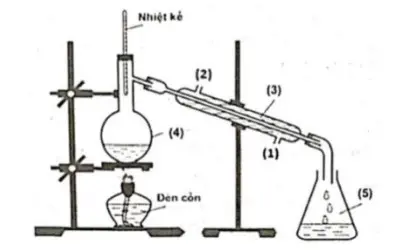 Câu 20: Câu 2. Trong phòng thí nghiệm, ethyl acetate được điều chế từ acetic acid và ethanol, xúc tác H₂SO₄ đặc, theo mô hình thí nghiệm sau: Biết nhiệt độ trong bình cầu (4) giữ ở mức 65-70°C, nhiệt độ trong ống sinh hàn (3) duy trì ở 25°C. Sau thí nghiệm, tiến hành phân tách sản phẩm. Ghi phổ hồng ngoại của acetic acid, ethanol và ethyl acetate. Cho biết số sóng hấp thụ đặc trưng của một số liên kết trên phổ hồng ngoại như sau:
