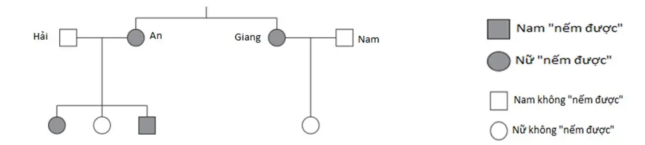 Câu 20: Phả hệ sau mô tả sự di truyền của khả năng nếm một chất nhất định trong một gia đình. Alen quy định khả năng này là trội. Câu nào sau đây là đúng khi nói về kiểu gen của chị em An và Giang?