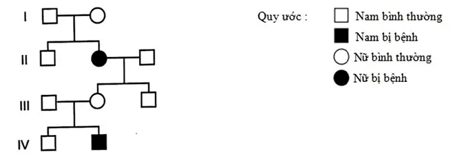 Câu 20: Sơ đồ phả hệ sau mô tả sự di truyền của một bệnh ở người do một trong hai alen của một gen quy định. Biết rằng không xảy ra đột biến ở tất cả các cá thể trong phả hệ Khẳng định đúng là: