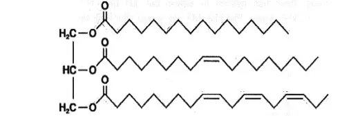 Câu 21: Cấu trúc của một loại triglyceride (X) được biểu diễn như sau: