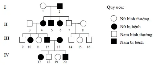 Câu 21: Cho sơ đồ phả hệ sau: Sơ đồ phả hệ trên mô tả sự di truyền một bệnh ở người do một trong hai alen của một gen quy định. Biết rằng không xảy ra đột biến ở tất cả các cá thể trong phả hệ. Trong những người thuộc phả hệ trên, những người chưa thể xác định được chính xác kiểu gen do chưa có đủ thông tin là: