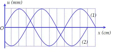 Câu 21: Một sóng hình sin đang truyền trên một sợi dây theo chiều dương của trục Ox. Hình trên, $(1)$ và $(2)$ mô tả hình dạng của sợi dây ở các thời điểm $t_1$ và${t_2} = {t_1} + 0,15(s)$. Biết $T > 0,15 s$. Chu kì của sóng này là