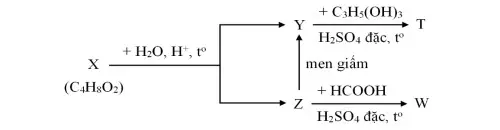 Câu 22: Cho sơ đồ phản ứng sau: Biết rằng X, Y, Z, T, W là các hợp chất hữu cơ khác nhau; T chỉ chứa một loại nhóm chức.