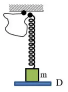 Câu 23: Cho cơ hệ như hình vẽ: lò xo rất nhẹ có độ cứng 100 N/m nối với vật m có khối lượng 1 kg , sợi dây rất nhẹ có chiều dài 2,5 cm và không giãn, một đầu sợi dây nối với lò xo, đầu còn lại nối với giá treo cố định. Vật m được đặt trên giá đỡ D và lò xo không biến dạng, lò xo luôn có phương thẳng đứng, đầu trên của lò xo lúc đầu sát với giá treo. Cho giá đỡ D bắt đầu chuyển động thẳng đứng xuống dưới nhanh dần đều với gia tốc có độ lớn là 5 m/s2. Bỏ qua mọi lực cản, lấy g = 10 m/s2. Biên độ dao động của m sau khi giá đỡ D rời khỏi nó là