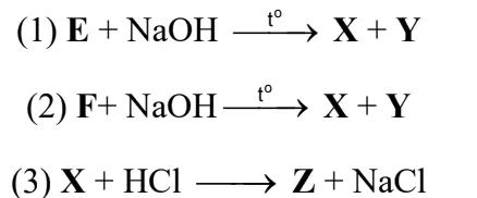 Câu 24: Câu 2. Cho E (C3H6O3) và F (C4H6O4) là hai chất hữu cơ mạch hở đều tạo từ carboxylic acid và alcohol. Từ E và F thực hiện sơ đồ các phản ứng sau:Biết X, Y, Z là các chất hữu cơ, trong đó phân tử Y không có nhóm -CH3. Cho các phát biểu sau: (1) Chất E là hợp chất hữu cơ đơn chức. (2) Chất Y là đồng đẳng của ethyl alcohol. (3) Chất E và F đều có khả năng tham gia phản ứng tráng bạc. (4) Nhiệt độ sôi của chất Z cao hơn nhiệt độ sôi của acetic acid. (5) 1 mol chất F tác dụng được tối đa với 2 mol NaOH trong dung dịch. Xác định các phát biểu không đúng (theo thứ tự tăng dần).