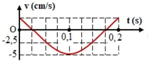 Câu 26: Hình bên là đồ thị biểu diễn sự phụ thuộc của vận tốc v theo thời gian t của một vật dao động điều hòa. Phương trình dao động của vật là
