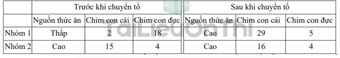 Câu 27: Các loài động vật sinh sản hữu tính thường có tỷ lệ đực : cái xấp xỉ 1 : 1 ở giai đoạn hợp tử. Trongmột số trường hợp, cá thể bố mẹ có thể điều chỉnh tỷ lệ đực cái ở đời con đáp ứng với điều kiện sống nhất định. Ở loài chim A khi trưởng thành, chim đực thường bay đi chỗ khác trong khi chim cái thườngở lại giúp chim mẹ ấp trứng và chăm “em” (chim giúp việc). Trong điều kiện thuận lợi, người ta nhậnthấy các chim mẹ có 1 đến 2 chim giúp việc sẽ sinh được nhiều chim con sống đến trưởng thành hơn chimmẹ không có chim giúp việc. Người ta nghiên cứu hai nhóm chim ở điều kiện: Nguồn thức ăn thấp (nhóm 1) hoặc nguồn thức ăn cao (nhóm 2) rồi chuyển các tổ chim của hai nhóm sang vùng lãnh thổ có nguồnthức ăn cao (sau khi chuyển tổ). Tỷ lệ đực cái ở chim con trước và sau khi chuyển tổ được trình bày ở Bảng bên dưới.Nếu cho rằng tỷ lệ đực : cái có thể bị điều chỉnh dựa trên điều kiện sống thực tế. Em hãy sắp xếp các nhận định sau đây thành các nhận đúng (theo thứ tự từ nhỏ đến lớn) về các yếu tố điều chỉnh tỷ lệ giới tính củaloài chim này? 1. Yếu tố di truyền có thể quyết định khả năng điều chỉnh tỷ lệ đực : cái dựa trên điều kiện sống. 2. Sự điều chỉnh tỷ lệ đực : cái trong quần thể hoàn toàn phụ thuộc vào điều kiện môi trường. 3. Tỷ lệ đực : Cái ở nhóm 2: Sau khi chuyển tổ, tỷ lệ trở về cân bằng hơn và duy trì không đổi. 4. Nếu điều kiện sống liên tục thay đổi, áp lực chọn lọc tự nhiên có thể ưu tiên các cá thể có khả năng điều chỉnh tỷ lệ đực : cái.