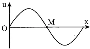 Câu 27: Trên một sợi dây dài đang có sóng ngang hình sin truyền qua theo chiều dương của trục Ox. Tại thời điểm t, một đoạn của sợi dây có hình dạng như hình bên. Hai phần tử trên dây là O và M dao động lệch pha nhau: