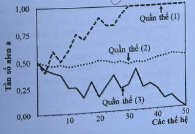 Câu 33: Hình bên mô tả sự biến đổi tần số alen a ở ba quần thẻ̉ (1), (2), (3) của một loài chuột đang chịu tác động của yếu tố ngẫu nhiên qua các thế hệ. Trong đó, alen A quy định màu lông đen có ưu thế thích nghi hơn và trội hoàn toàn so với alen a quy định màu lông trắng. Biết kích thước ban đầu của các quần thể (1), (2), (3) lần lượ là 20, 1000, 20 cá thể. Có bao nhiêu phát biểu sau đây về ba quần thề này là đúng? I. Tần số alen a của quần thể (3) biến động ít hơn so với quần thể (2). II. Yếu tố ngấu nhiên có thể đào thải hoàn toàn alen trội có lợi ra khói quần thể. III. Ở thế hệ 50 , quần thể (3) chỉ toàn các cá thế có kiểu gen AA. IV. Ở thế hệ 35 , quần thể (1) chỉ toàn các cá thể có kiểu hình lông trắng.