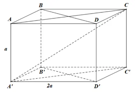 Câu 35: Cho hình hộp chữ nhật $ABCD.{A}'{B}'{C}'{D}'$ có $AB=A{A}'=a,AD=2a$. Gọi góc giữa đường chéo ${A}'C$ và mặt phẳng đáy $\left( ABCD \right)$ là $\alpha $. Khi đó $\tan \alpha $ bằng