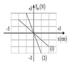Câu 36: Hai con lắc lò xo nằm ngang dao động điều hòa cùng tần số dọc theo hai đường thẳng song song kề nhau và song song với trục Ox. Vị trí cân bằng của hai dao động đều nằm trên một đường thẳng qua O và vuông góc với Ox. Đồ thị (1), (2) lần lượt biểu diễn mối liên hệ giữa lực kéo về ${F_{kv}}$ và li độ x của con lắc 1 và con lắc 2. Biết tại thời điểm ${t_1}$ , hai con lắc có cùng li độ và đúng bằng biên độ của con lắc 2. Tại thời điểm ${t_2}$ sau đó, khoảng cách giữa hai vật nặng theo phương Ox là lớn nhất. Tỉ số giữa thế năng của con lắc 1 và động năng của con lắc 2 tại thời điểm ${t_2}$ là