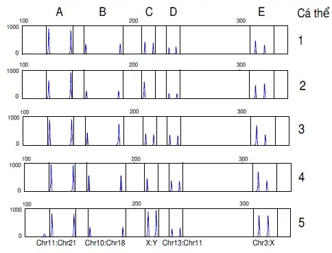 Câu 37: Mô hình điện di sản phẩm PCR nhiều cặp nhiễm sắc thể (các cặp được chú thích ở phía dưới) trong 5 cá thể khác nhau (1-5) ở hình dưới cho phép xác định sự có hoặc không có sự bất thường số lượng nhiễm sắc thể. Thể đơn nhiễm (monosomy) ở các nhiễm sắc thường được biết là gây chết. Độ cao tương đối của các đỉnh trong mỗi ô phản ánh tỷ lệ số bản sao gen của hai nhiễm sắc thể trong ô đó. Trục ngang cho thấy sự di chuyển trên điện trường, trục dọc biểu diễn cường độ huỳnh quang. 1. Có ba cá thể là thể ba nhiễm. 2. Có hai cá thể là thể một nhiễm không bình thường. 3. Hai cá thể có kiểu nhân bình thường. 4. Các sản phẩm PCR liên quan tới các nhiễm sắc thể khác nhau cần có các kích thước khác nhau để cho phép xác định số bản sao. Có bao nhiêu nhận định nêu trên là đúng?