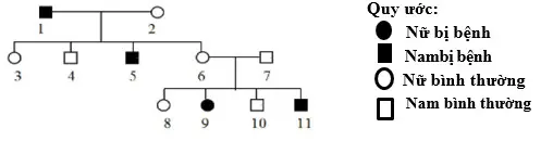 Câu 38: Cho sơ đồ phả hệ: Sơ đồ phả hệ trên mô tả sự di truyền một bệnh ở người do một trong hai alen của một gen quy định. Biết rằng không xảy ra đột biến ở tất cả các cá thể trong phả hệ, tỷ lệ người mắc bệnh trong cả quần thể cân bằng di truyền này là 1%. Người phụ nữ số 8 lớn lên kết hôn với một người nam giới bình thường trong cùng quần thể. Hỏi xác suất họ sinh được người con đầu lòng không bị bệnh là bao nhiêu?