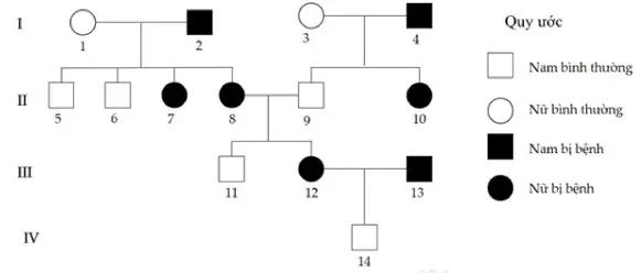 Câu 39: Cho sơ đồ phả hệ mô tả sự di truyền một bệnh ở người do một trong hai alen của một gen quy định, alen trội là trội hoàn toàn. Có bao nhiêu nhận định sau đây đúng? I. Có thể xác định chính xác kiểu gen của tất cả những người trong phả hệ. II. Cặp vợ chồng ở thế hệ III sinh người con thứ hai là con gái không bị bệnh với xác suất 12,5%. III. Người số 14 có kiểu gen aa. IV. Người số 7 và 8 có kiểu gen không giống nhau.