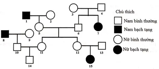 Câu 39: Sơ đồ phả hệ mô tả sự di truyền một bệnh ở người, bệnh bạch tạng do alen lặn nằm trên NST thường quy định, alen trội tương ứng quy định kiểu hình bình thường Biết rằng không còn ai trong phả hệ trên có biểu hiện bệnh. Tính theo lý thuyết, có bao nhiêu phát biểu sau đây là chính xác về phả hệ trên? I. (11) và (12) có kiểu gen giống nhau II. Xác suất đển người con trai của (11) mang gen bệnh là 10/17 III. Nếu vợ chồng (12) và (13) dự định sinh thêm con thì xác suất sinh ra người con mang gen bệnh là 75% IV. Có tối thiểu 6 người trong phả hệ có gen dị hợp tử