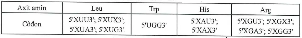 Câu 40: Câu 40. Cho biết các côđon mã hoá các axit amin trong bảng sau đây: Triplet mã hoá là các bộ ba ứng với các côđon mã hoá axit amin và triplet kết thúc ứng với côđon kết thúc trên mARN. Giả sử một đoạn gen ở vi khuẩn tổng hợp đoạn mARN có triplet mở đầu và trình tự các nuclêôtit như sau: