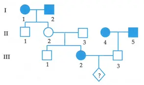 Câu 40: Cho bài toán: Có sơ đồ phả hệ về một bệnh P của một gia đình, những người in đậm là những người bị bệnh, chỉ có 2 kiểu hình là bị bệnh và không bị bệnh, biết người I1 và I2 mang kiểu gen đồng hợp, cặp vợ chồng II4, II5 có kiểu gen giống I1 và I2, người II3 mang kiểu gen giống II2, người mang kiểu gen đồng hợp lặn bị bệnh. Trong các phát biểu dưới đây có bao nhiêu phát biểu đúng? I. Có thể xác định được tính chính xác tối đa kiểu gen của 4 người trong phả hệ trên. II. Xác suất để bị bệnh là 17/28. III. Người III1 lấy vợ có kiểu gen giống III2 thì xác suất sinh con trai không bị bệnh là 4/14. IV. Người III1 lấy vợ có kiểu gen giống người III2 thì xác suất sinh con gái không bị bệnh là 25/72.