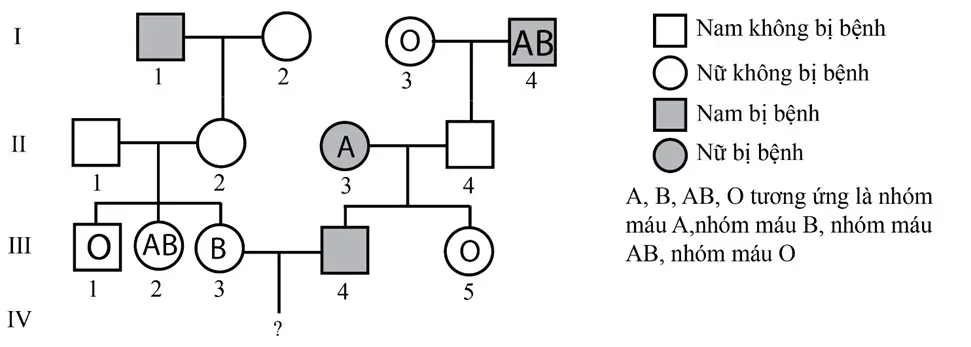 Câu 40: Cho biết: Ở người gen quy định nhóm máu có 3 alen nằm trên nhiễm sắc thể thường, trong đó kiểu gen IAIA và IAI0 đều quy định nhóm máu A; kiểu gen IBIB và IBI0 đều quy định nhóm máu B; kiểu gen IAIB quy định nhóm máu AB; kiểu gen I0I0 quy định nhóm máu O. Bệnh mù màu do một gen có 2 alen quy định, trội hoàn toàn và nằm trên vùng không tương đồng của nhiễm sắc thể X. Cho sơ đồ phả hệ Biết rằng không phát sinh đột biến mới ở tất cả mọi người trong phả hệ. Theo lí thuyết, có bao nhiêu phát biểu sau đây đúng? I. Xác định được tối đa kiểu gen của 4 người trong phả hệ. II. III1 và III5 có kiểu gen giống nhau. III. II2 và II4 có thể có nhóm máu A hoặc B. IV. Cặp vợ chồng III3 – III4 sinh con nhóm máu O và không bị bệnh với xác suất 3/16