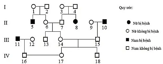Câu 40: Sơ đồ phả hệ dưới đây mô tả sự di truyền của một bệnh ở người do một trong hai alen của một gen quy định. Biết rằng không có đột biến mới phát sinh, có bao nhiêu nhận định đúng về phả hệ trên? (1) Bệnh được qui định bởi gen lặn trên nhiễm sắc thể X. (2) Xác suất để cá thể 6; 7 mang kiểu gen AA=1/3, Aa=2/3. (3) cá thể số 15; 16 đều cho tỉ lệ giao tử A=1/2; a = 1/2. (4) xác suất sinh con đầu lòng không mang alen gây bệnh của cặp vợ chồng số 16; 17 là 9/14.