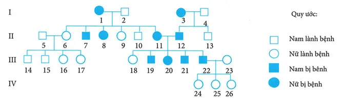 Câu 40: Sơ đồ phả hệ sau mô tả sự di truyền của một bệnh ở người trong một gia đình đến từ một quần thể cân bằng di truyền với tần số alen bị bệnh chiếm tỉ lệ 60%. Biết rằng bệnh này do một trong hai alen của một gen quy định và không phát sinh đột biến mới ở tất cả những người trong phả hệ. Trong các phát biểu sau, có bao nhiêu phát biểu không chính xác? I. Xác suất người số 18 mang alen gây bệnh là 66,67%. II. Có thể xác định được kiểu gen của cặp vợ chồng 5 và 6 cùng các con của họ. III. Tất cả các cá thể bị bệnh đều có thể xác định được kiểu gen nhờ các thông tin từ phả hệ. IV. Cặp vợ chồng 22 - 23 sinh con thứ 4 là nữ, lành bệnh có xác suất là 16,67%. V. Người số 19 lấy một cô vợ bị bệnh đến từ một gia đình khác trong quần thể, xác suất họ sinh được 2 đứa con và có ít nhất 1 đứa lành bệnh là 12,85%.