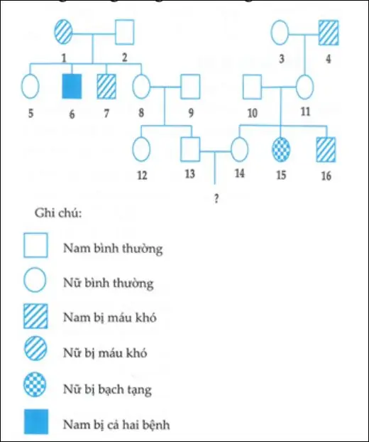 Câu 40: Xét ở người, gen A quy định da bình thường trội hoàn toàn so với alen a quy định da bạch tạng. Bệnh máu khó đông do gen lặn b nằm trên vùng không tương đồng của NST giới tính X, alen trội B quy định máu bình thường. Cho sơ đồ phả hệ sau: Cho rằng không phát sinh đột biến mới ở tất cả những người trong phả hệ trên và người đàn ông số 9 không mang alen gây bệnh. Phân tích hệ và cho biết có bao nhiêu kết luận đúng trong số các kết luận sau đây? I. Xác định chính xác được kiểu gen của 7 người trong phả hệ. II. Có tối đa 11 người có kiểu gen đồng hợp về tính trạng bệnh bạch tạng. III. Xác suất để người con gái số 12 không mang các alen bệnh là 1/6. IV. Cặp vợ chồng 13 – 14 sinh người con đầu lòng không bị bệnh, xác suất để người con đầu lòng này không mang các alen bệnh là 50,42%.